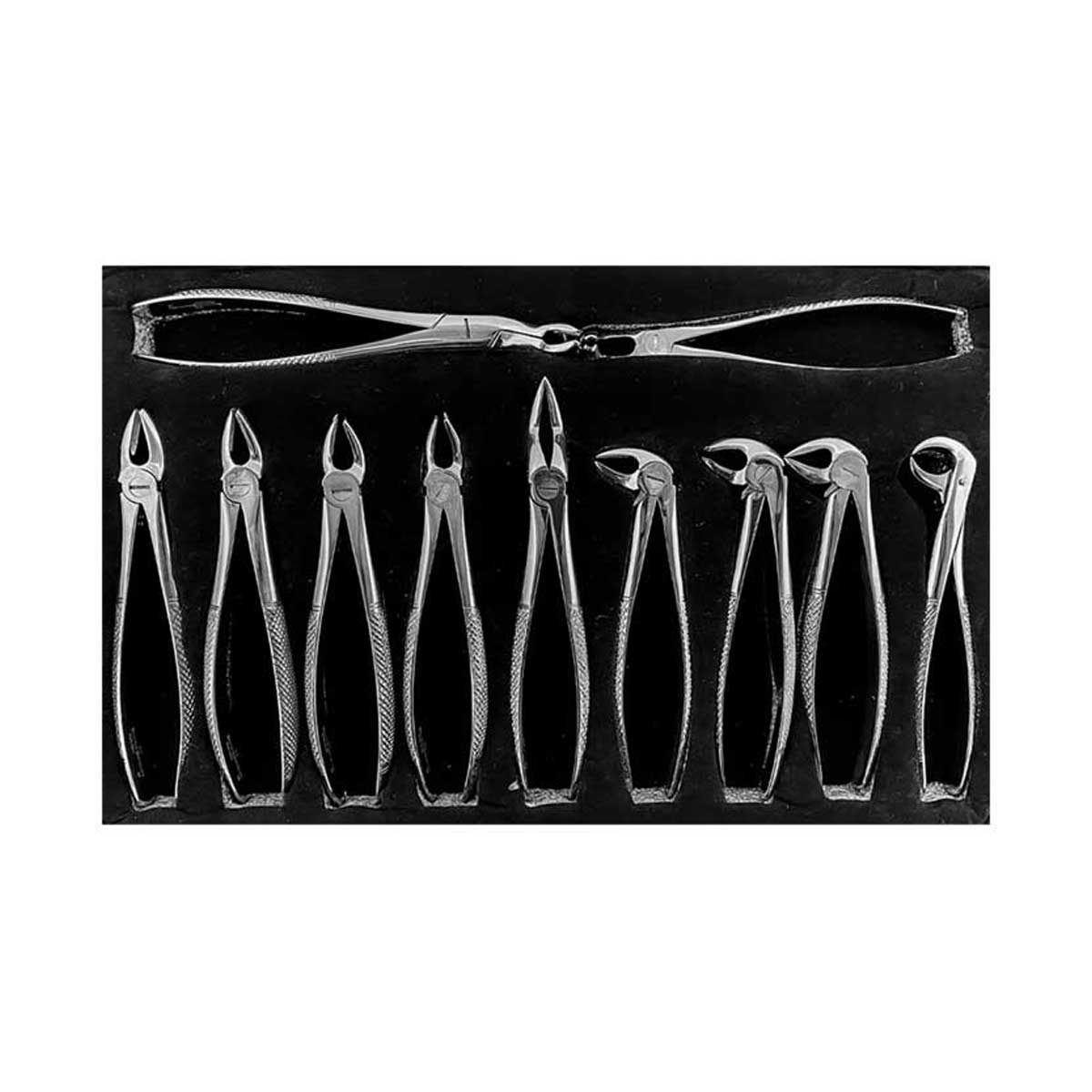 ست فورسپس 11 عددی بزرگسال Forceps Set